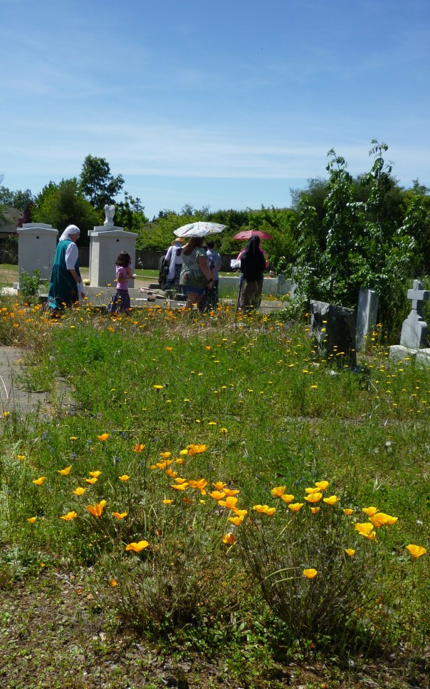 radonitsa 4-29-14 w poppies