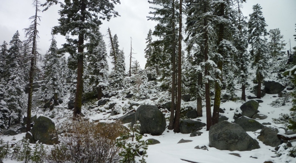 Echo summit snow trees rocks 5-6-14