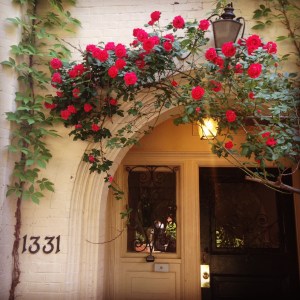 Kate's roses May 2014