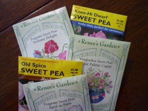 sweet pea seeds 2013