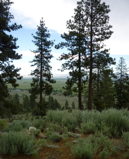 P1100331 from state line