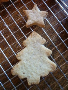 13 bizcochito coconut oil