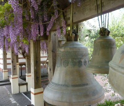 bells 2+ wisteria 4-18-15