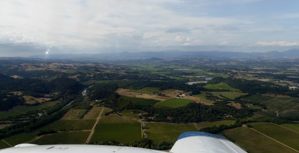 30 vineyards and trees