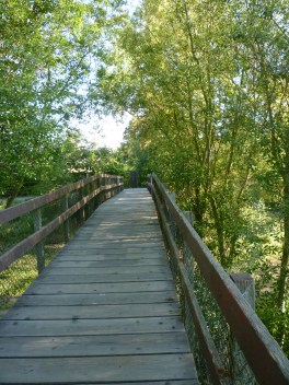 bike path bridge 5-15