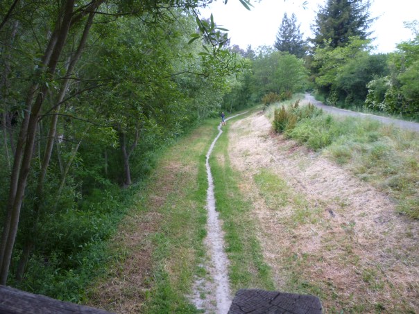 bike path low road by creek 5-15