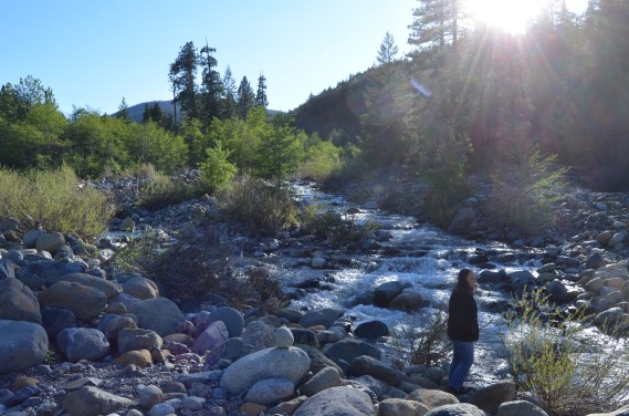 G meditate by Sac 5-15 hms