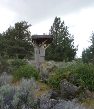 Trout Lake goose platform 5-15