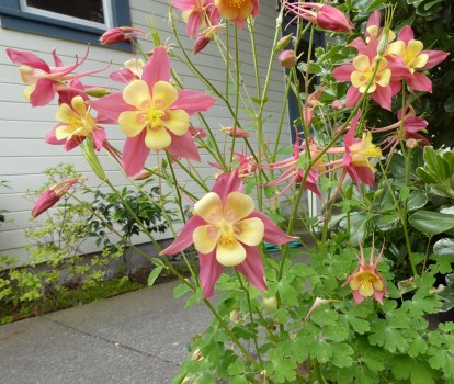 columbine church 5-15