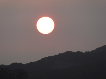 P1010160 sun smoke 8-7-15