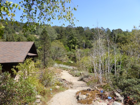 GL Tilden Bot Grdn path 9-15