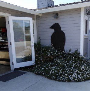 GL 10 P1020084 birds cafe