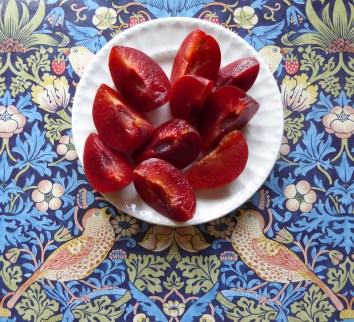 GL 10 P1020115 plums