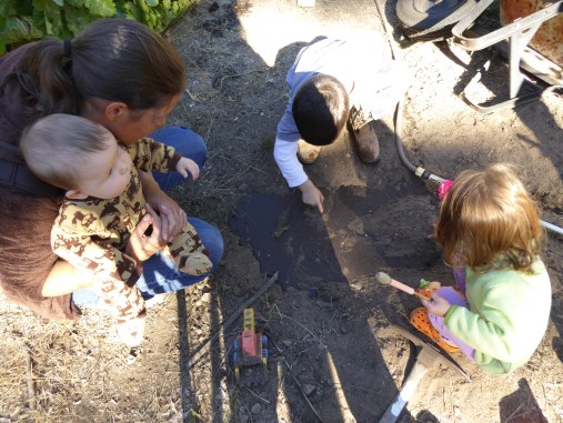 glP1010938 ant walking on water