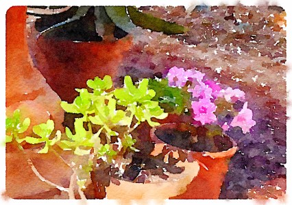 gl fountain group Waterlogue-2016-02-24