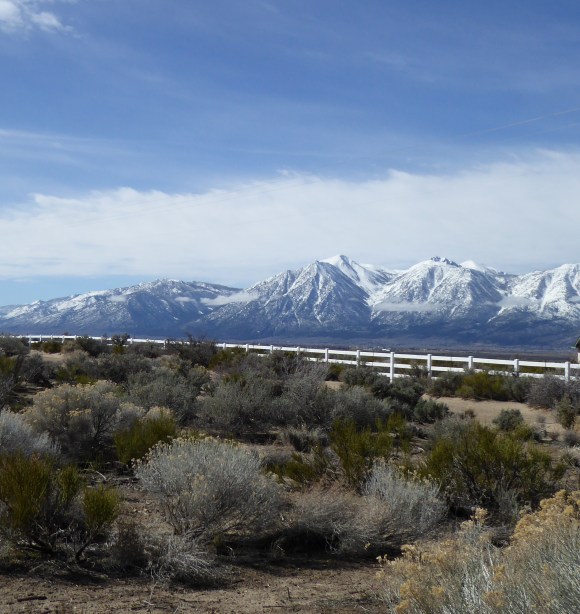 P1030601 across Carson Vly to west