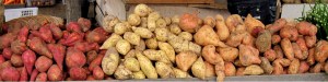 gl Sweet_potatoes,_Padangpanjang wiki