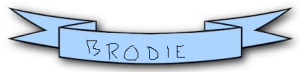 Brodie banner