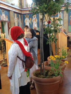 Pentacost vigil 2016crp