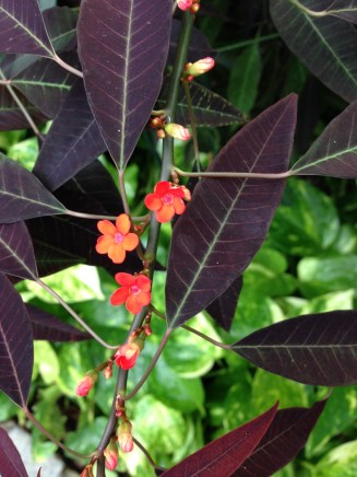 gle-2016-11-16-14-49-27