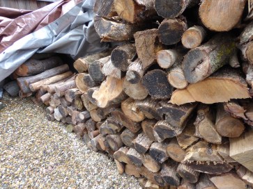 garden-p1060572-firewood