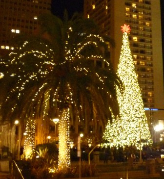 light palm & xmas tree sf 2012 - Copy